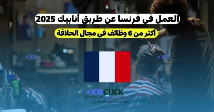 العمل في فرنسا عن طريق أنابيك