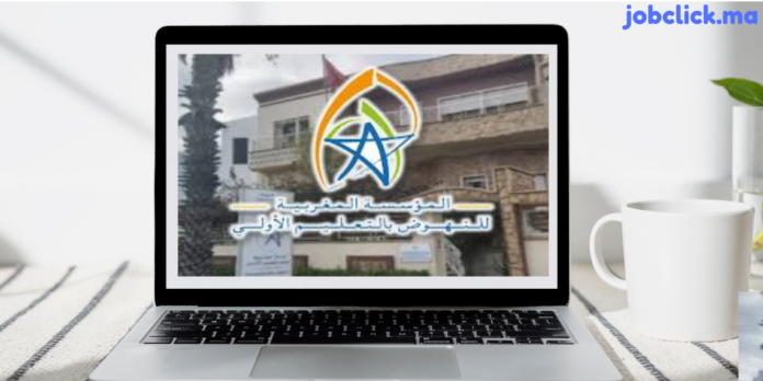 FMPS Zagora recrute des Éducateurs / Éducatrices Préscolaire